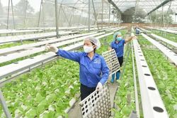 H&agrave; Nội ph&aacute;t triển n&ocirc;ng nghiệp sinh th&aacute;i, x&acirc;y dựng n&ocirc;ng th&ocirc;n mới bền vững