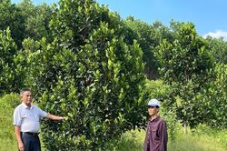 Đà Nẵng: Lan tỏa tinh thần khởi nghiệp, tự tin để làm giàu