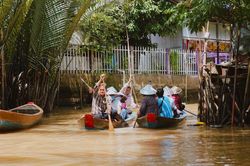 Cồn Thới Sơn tăng giá xuồng chèo