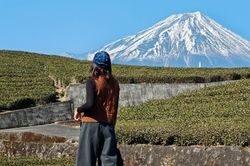 Kh&aacute;ch Việt bắt đầu rời 'cung đường V&agrave;ng' Nhật Bản