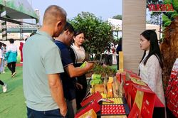 Văn hóa chè mở hướng phát triển du lịch cho Tân Cương
