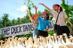 Du khách quốc tế đang tìm gì ở Việt Nam ngoài biển và di sản?