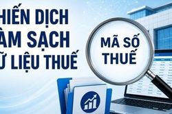 Hà Nội ban hành cẩm nang làm sạch mã số thuế hỗ trợ doanh nghiệp