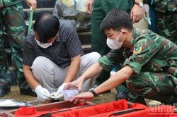 Lào Cai quy tập 7 hài cốt liệt sĩ