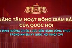 Diễn đàn của Quốc hội về hoạt động giám sát diễn ra sáng 30/7