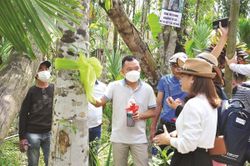 Hàng trăm nhà đầu tư bất an với dự án 'công nghệ trầm hương sinh học' (Kỳ 1: Viễn cảnh trầm hương sinh học không như mong đợi)