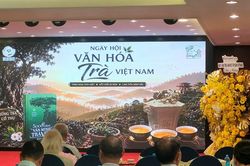 Hiệp hội Văn hóa Ẩm thực Việt Nam: Kết nối, bảo tồn và phát huy giá trị văn hóa trà Việt Nam