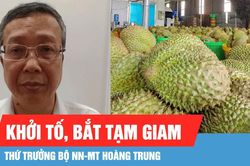 Khởi tố, bắt tạm giam Thứ trưởng Bộ NN-MT Ho&agrave;ng Trung về tội 'Nhận hối lộ'