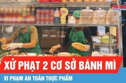 Kh&aacute;nh H&ograve;a: Xử phạt 2 cơ sở b&aacute;nh m&igrave; vi phạm an to&agrave;n thực phẩm