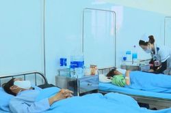 Khẩn trương điều tra, xử lý vụ 84 người nghi ngộ độc bánh mì tại Lâm Đồng