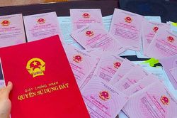 Đề xuất cấp sổ đỏ cả bản giấy và điện tử