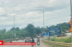 Xử lý nhiều trường hợp vi phạm giao thông từ những video của người dân