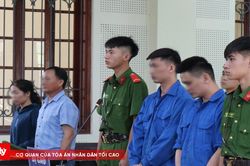 Đầu tư chứng khoán thua lỗ, làm giả giấy tờ ô tô để lừa đảo tiền tỷ
