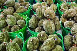 Thứ trưởng và loạt cán bộ bị bắt, lộ rõ góc khuất cấp mã số vùng trồng sầu riêng