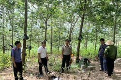 Kiểm s&aacute;t việc cưỡng chế, k&ecirc; bi&ecirc;n t&agrave;i sản thi h&agrave;nh &aacute;n d&acirc;n sự ở Qu&atilde;ng Ng&atilde;i