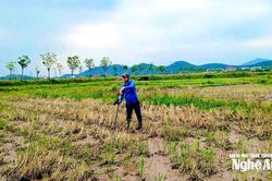 Nghệ An đ&atilde; cập nhật hơn 2,2 triệu thửa đất tr&ecirc;n hệ thống cơ sở dữ liệu quốc gia