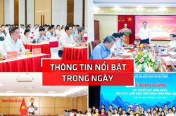Nghệ An: Thông tin nổi bật ngày 29/7