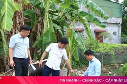 Hà Tĩnh: Số thửa đất chưa 'đúng - đủ - sạch - sống' còn chiếm hơn 56%