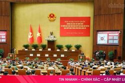 Học tập, quán triệt Nghị quyết Hội nghị lần thứ ba Ban Chấp hành Trung ương Đảng