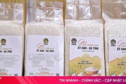Nâng tầm sản phẩm gạo Kỳ Anh - Hà Tĩnh