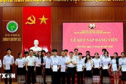 Quy định về thi hành Điều lệ Đảng