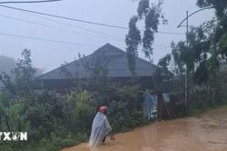Mưa lớn gây ngập, Lào Cai khẩn trương di dời người dân khỏi khu vực nguy hiểm