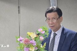 Tăng kết nối doanh nghiệp để khai thác dư địa thương mại Việt Nam-Indonesia