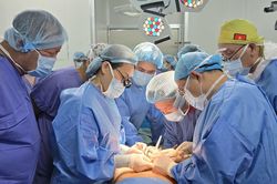 Lần đầu tiên ghép thành công dương vật từ người cho chết não