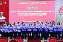 Viện kiểm sát nhân dân triển khai hiệu quả nhiệm vụ tố tụng dân sự công ích