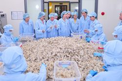 Trung ương Hội Liên hiệp Phụ nữ Việt Nam làm việc tại Yến sào Khánh Hòa