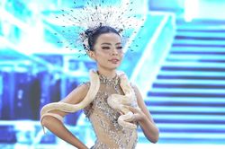 Xôn xao khoảnh khắc thí sinh Miss Grand Vietnam 2026 mang trăn lên sân khấu