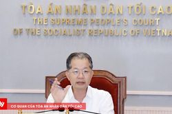 Khẩn trương hoàn thiện Nền tảng Quản lý án toàn trình theo tiến độ 'đồng hồ đếm ngược'