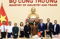 Việt Nam - Pháp mở rộng hợp tác công nghiệp, thương mại, năng lượng