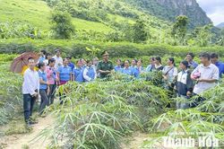 Đánh thức tiềm năng đất đai bằng bản đồ nông hóa