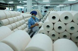 Sợi Thế Kỷ: Doanh thu qu&yacute; II tăng nhưng lợi nhuận &acirc;m, g&aacute;nh khoản nợ phải trả bằng 57% tổng t&agrave;i sản