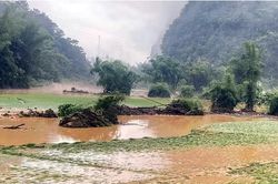 Thời tiết ngày 29/7: Mưa dông diện rộng, nhiều nơi mưa to đến rất to