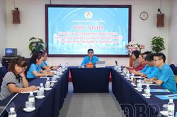 Toàn tỉnh thành lập mới 12 công đoàn cơ sở, nghiệp đoàn cơ sở