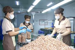 N&acirc;ng tầm sản phẩm OCOP g&oacute;p phần th&uacute;c đẩy chỉ số đổi mới s&aacute;ng tạo