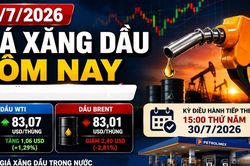 Giá xăng dầu hôm nay 29/7/2026: WTI tăng, Brent tiếp tục giảm