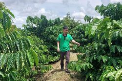 Để kinh tế hợp tác nông nghiệp thành sức mạnh nội sinh