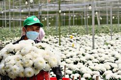 Tạo sinh kế, mở hướng thoát nghèo bền vững
