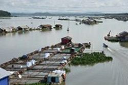 Cảnh b&aacute;o lũ tr&ecirc;n s&ocirc;ng Đồng Nai ng&agrave;y 29/07/2026: Mực nước trạm T&agrave; L&agrave;i dao động ở mức b&aacute;o động 1