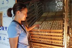 Thượng Long khơi dậy động lực phát triển kinh tế