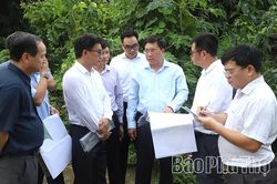 Chủ tịch UBND tỉnh Trần Duy Đông kiểm tra tiến độ triển khai các dự án nhà ở xã hội tại khu vực đô thị Việt Trì