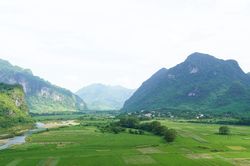 Khi bộ máy mới sớm đi vào hoạt động