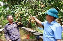 Yên Sơn ngày mới