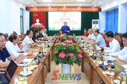 Sơ kết hoạt động 6 tháng đầu năm các Hội đồng tư vấn Ủy ban MTTQ Việt Nam tỉnh