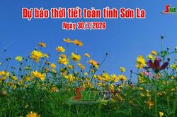 Dự báo thời tiết toàn tỉnh Sơn La ngày 30/7/2026