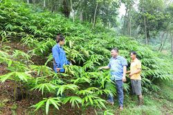 Gi&aacute;m s&aacute;t thực chất, hiệu quả