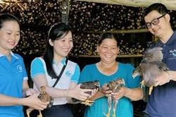 Trao sinh kế cho hội viên phụ nữ khó khăn